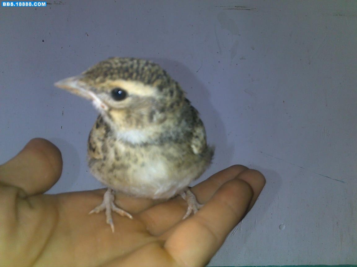 20100623337.jpg