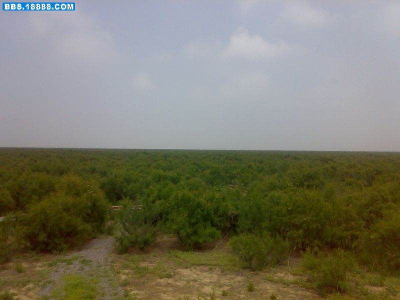 20100601074.jpg