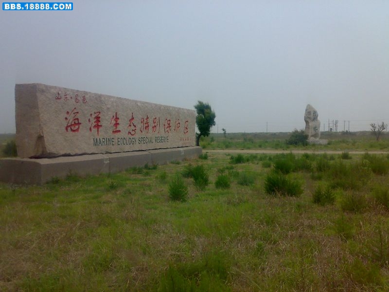 20100614098.jpg