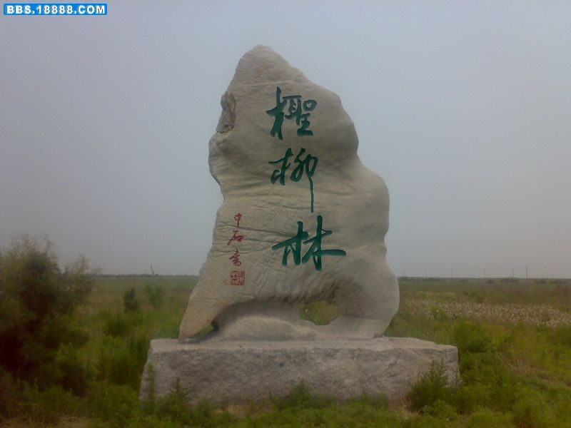20100614096.jpg