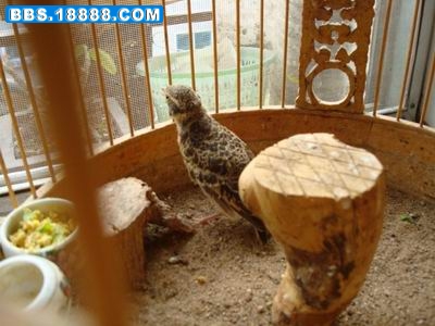 调整大小 DSC01752.JPG