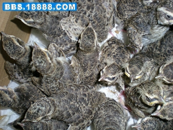 照片 009.jpg