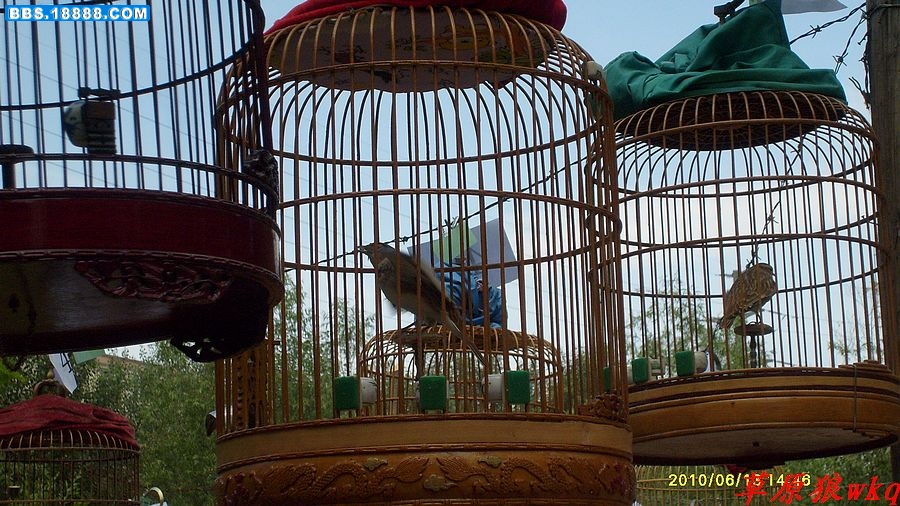 nEO_IMG_S6304585.jpg