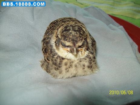 100_1055.JPG