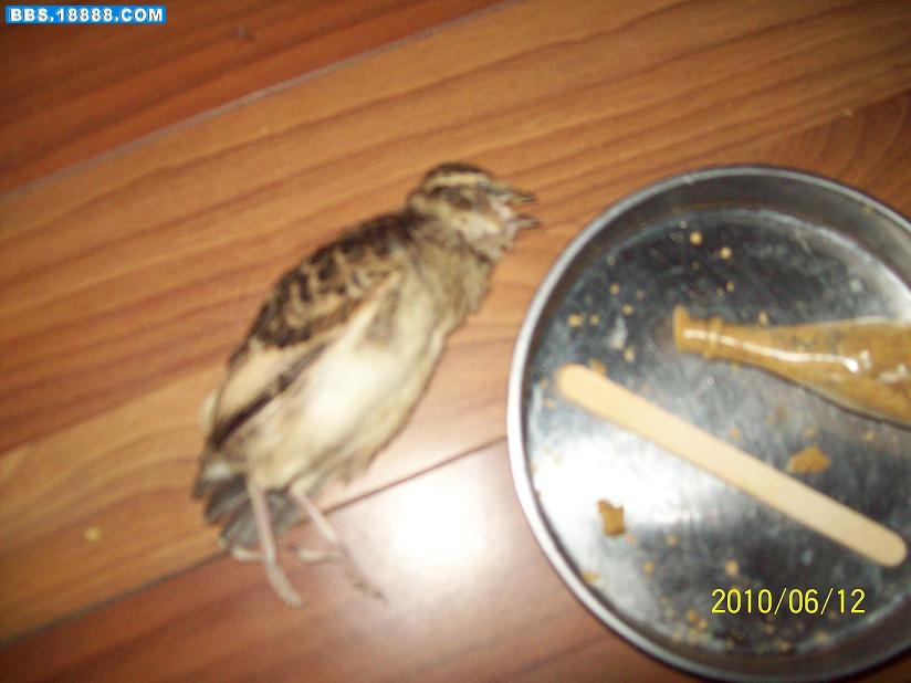 100_1182.JPG