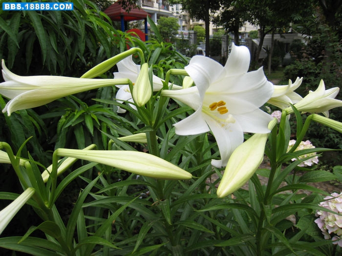 照片 091.jpg