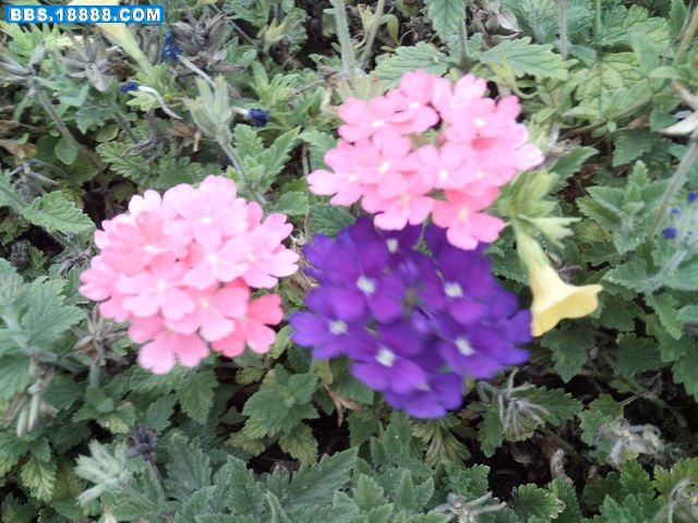 nEO_IMG_PICT0631.jpg