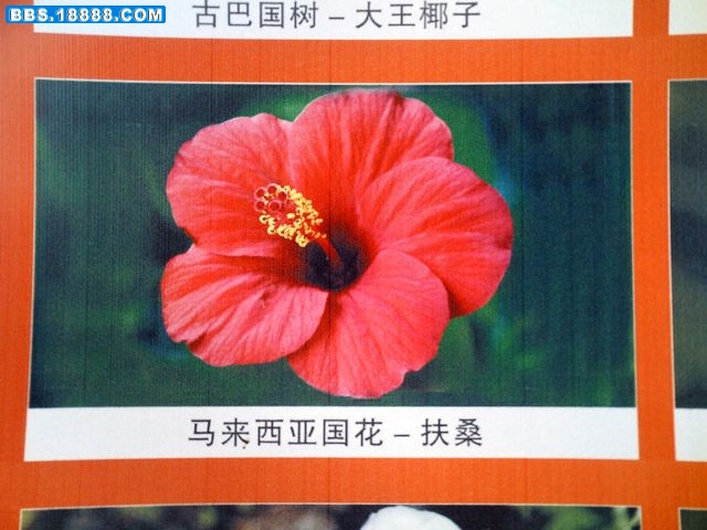nEO_IMG_PICT1296.jpg