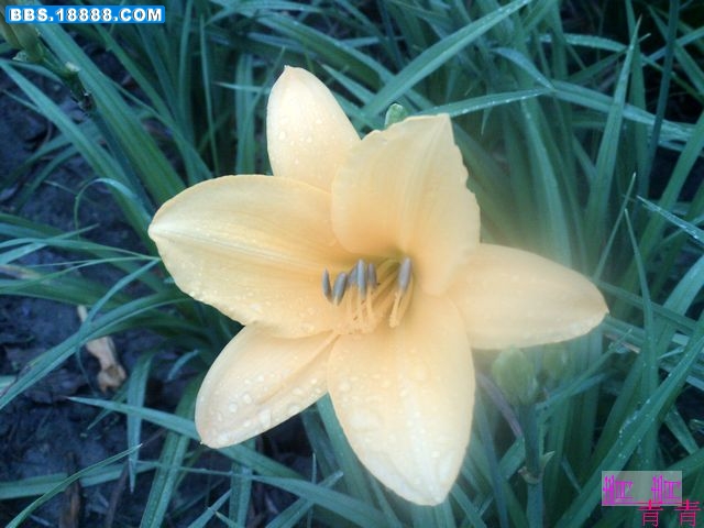 nEO_IMG_PICT0855.jpg