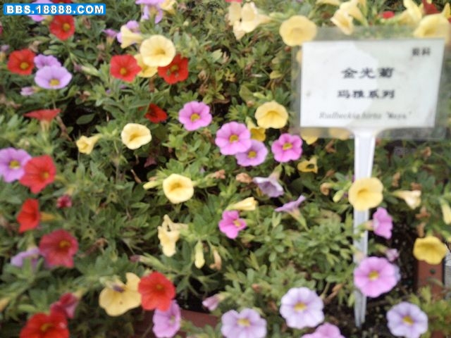 nEO_IMG_PICT0623.jpg