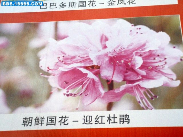 nEO_IMG_PICT1335.jpg