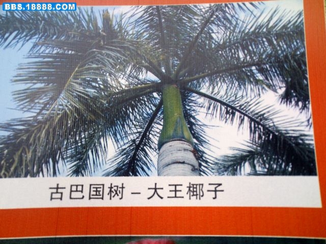 nEO_IMG_PICT1333.jpg