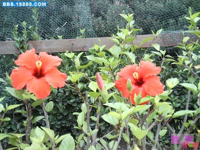 nEO_IMG_PICT0778.jpg