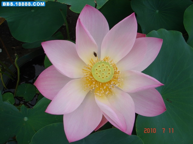DSC05331_缩小大小.JPG