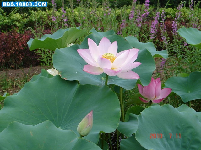 DSC05313_缩小大小.JPG