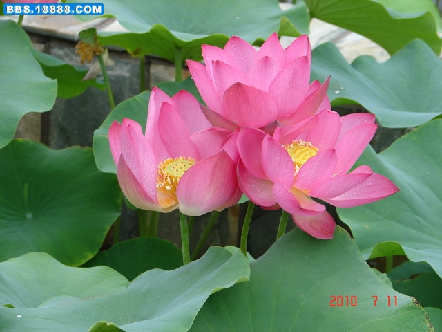 DSC05374_缩小大小.JPG