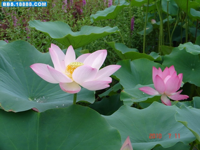 DSC05315_缩小大小.JPG