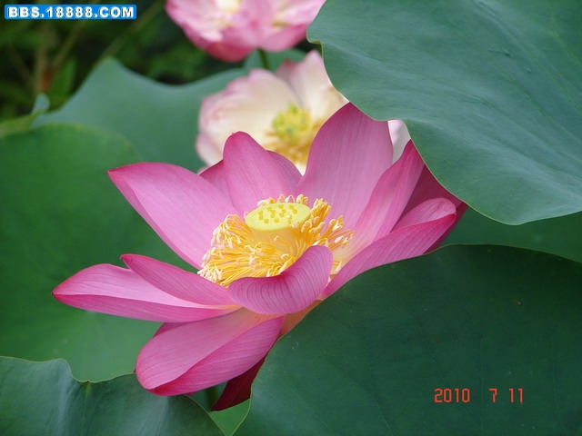 DSC05321_缩小大小.JPG