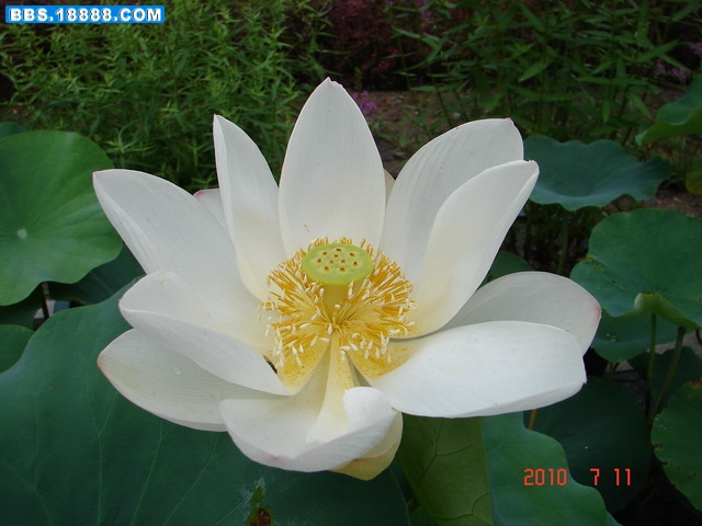DSC05310_缩小大小.JPG