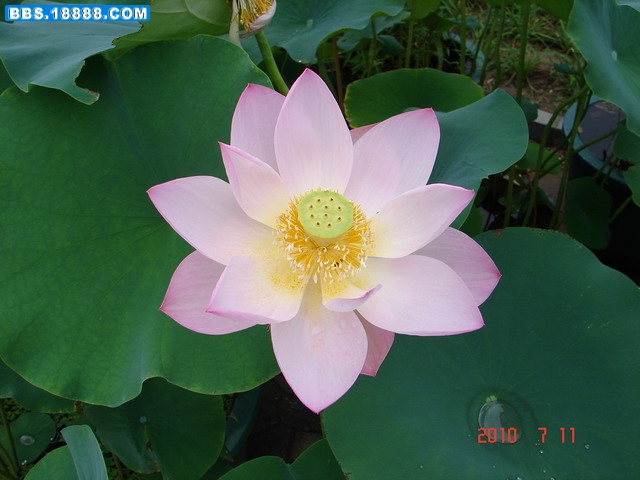 DSC05311_缩小大小.JPG