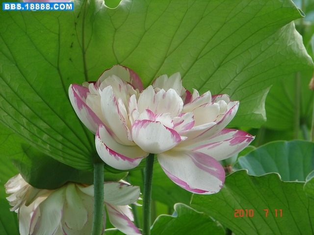 DSC05362_缩小大小.JPG
