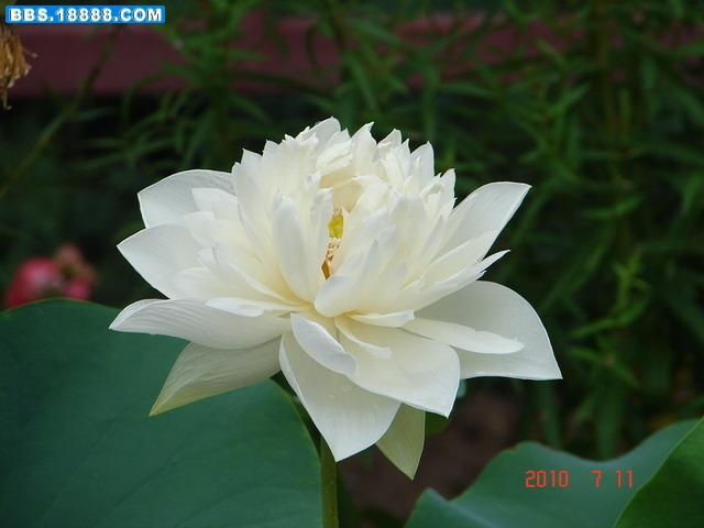 DSC05319_缩小大小.JPG
