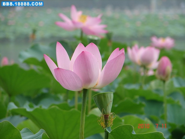 DSC05392_缩小大小.JPG