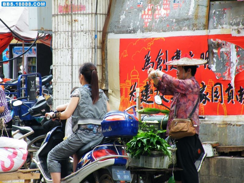 DSCF0848.jpg