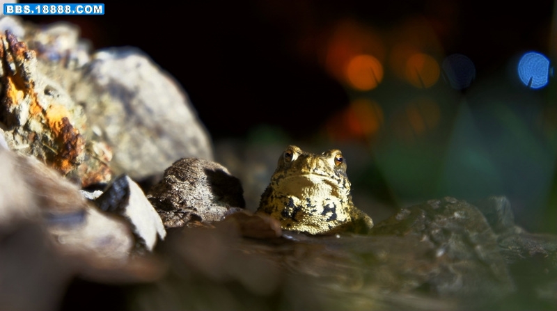 nEO_IMG_DSC00729.jpg