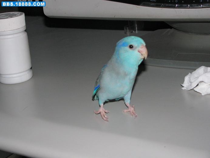 n02.JPG