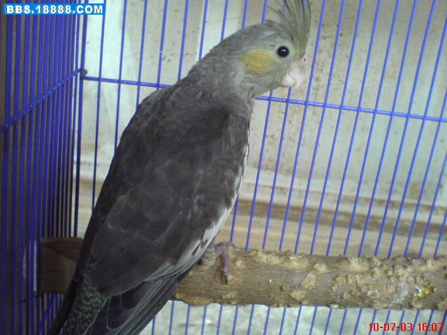 DSC00004.JPG