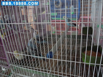 SDC10332.JPG