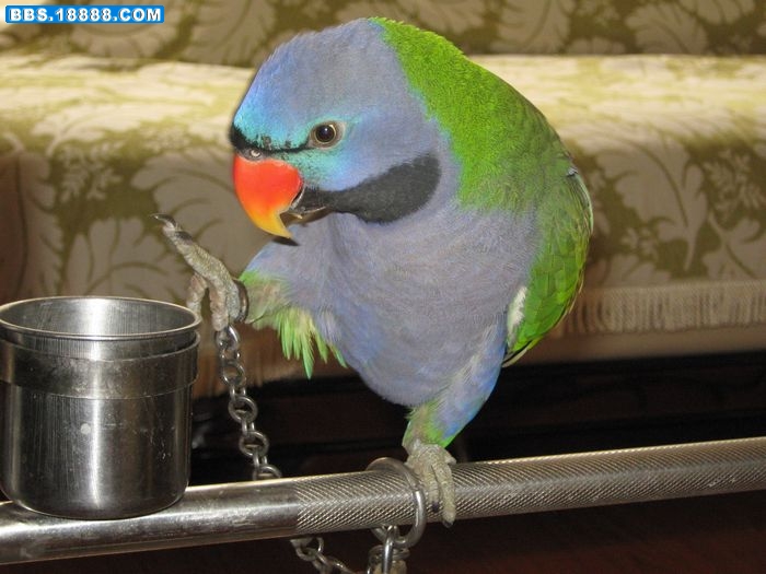 nEO_IMG_IMG_0020.jpg