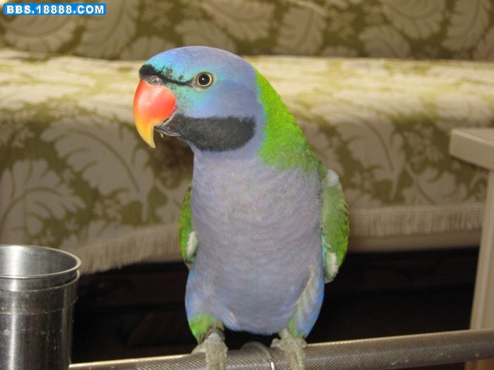 nEO_IMG_IMG_0019.jpg