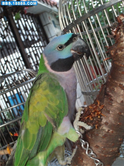 FILE0109.JPG