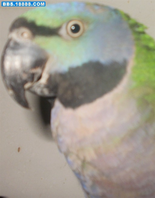 P1010080_副本.jpg