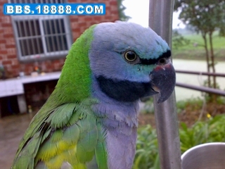 20100710034.jpg
