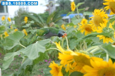 2010年7月15日的小小07.jpg