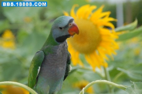 2010年7月15日的小小06.jpg