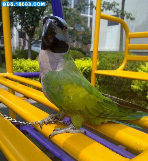 21072010747.jpg