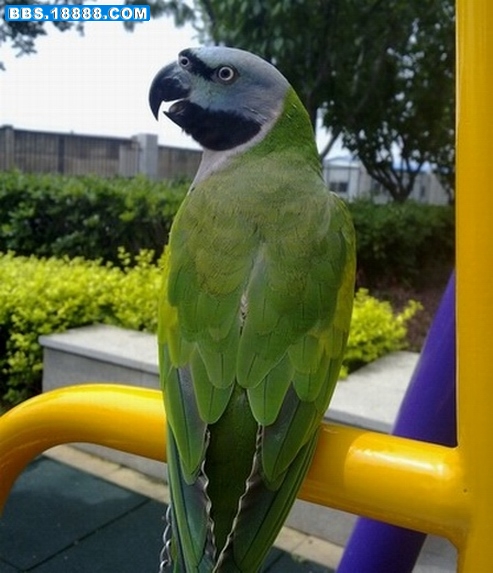 21072010745.jpg