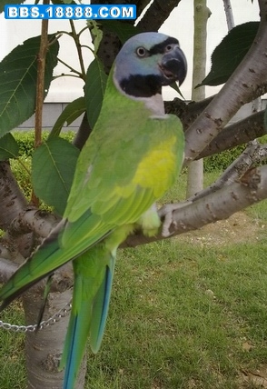21072010744.jpg