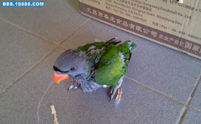 20100705a.jpg