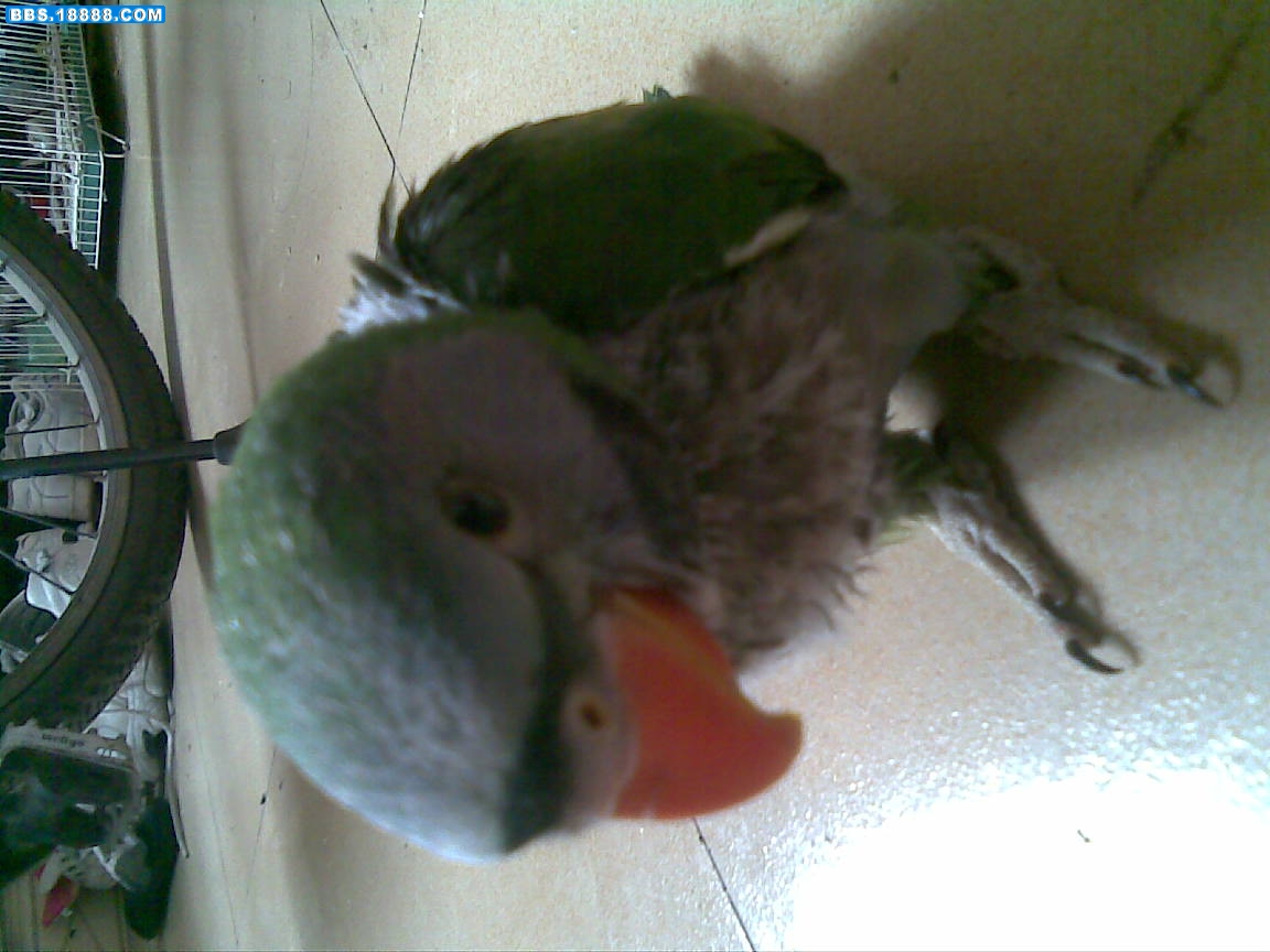 20100705(002).jpg