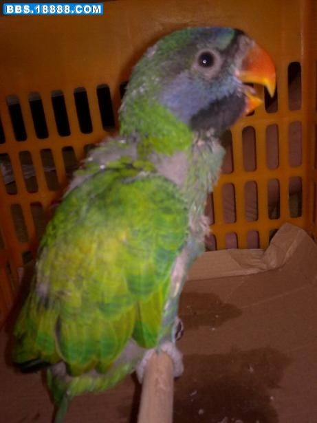 20100707046.jpg