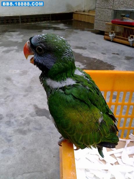 20100708059.jpg