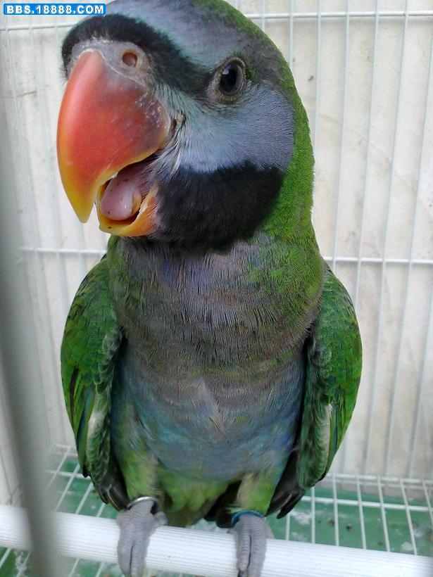 20100726032.jpg