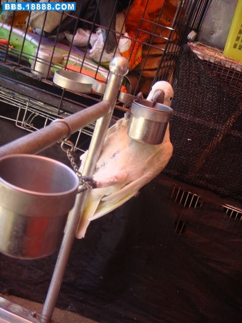 DSC03383.JPG