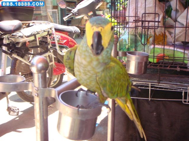 DSC03384.JPG