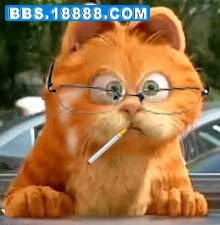 老猫.jpg